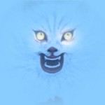 hausu-feature hausu-feature
